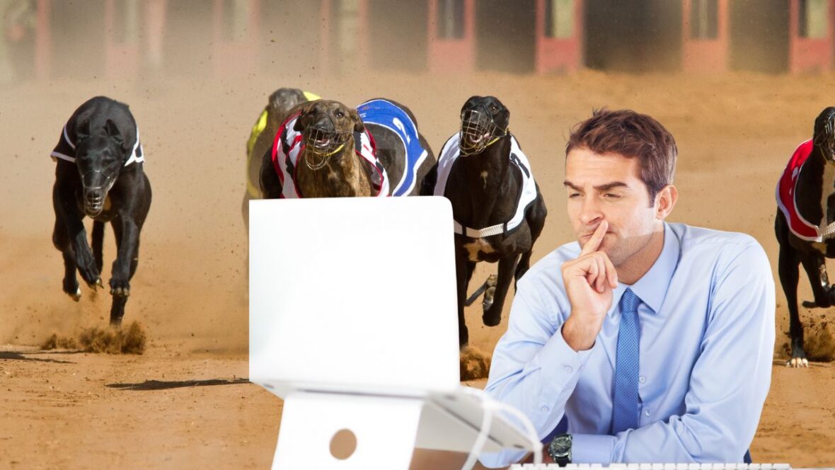 Kako se kladiti na trke pasa